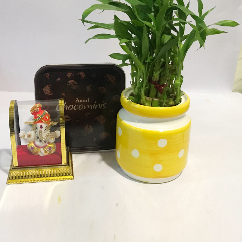 Thoughtful Diwali Gift with Bamboo Plant