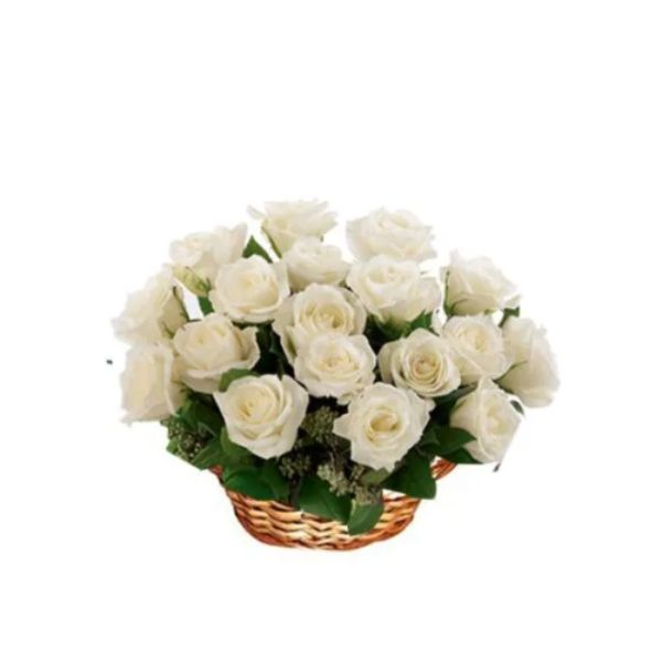 Basket of 18 White Roses