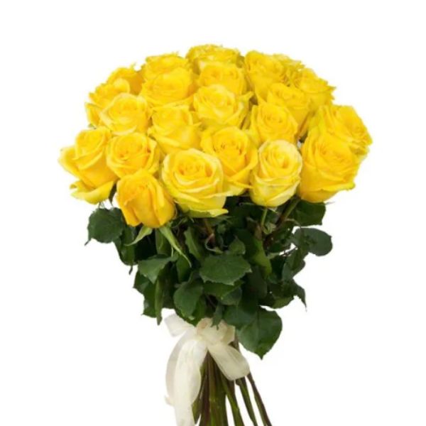 Bunch of 24 Yellow Roses